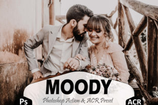 Download Moody Photoshop Actions and ACR Presets - Photo Collection
