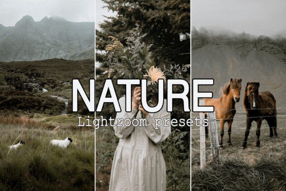 Download 9 Moody Nature Lightroom Presets - Nature Collection