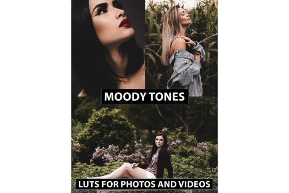 Download LUTs Moody Tones for Photos and Videos - Photo Collection