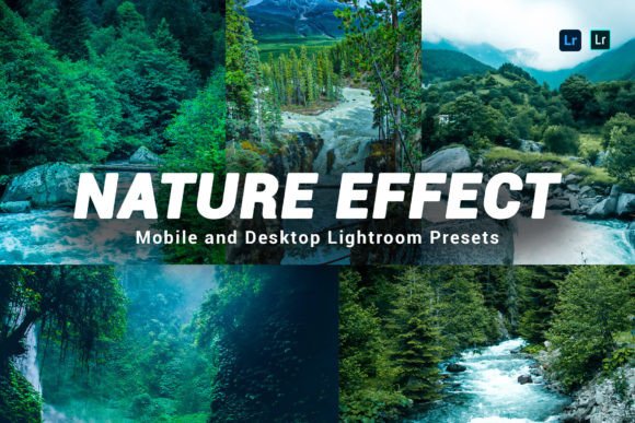 Download 10 Nature Effect Lightroom Presets - Nature Collection