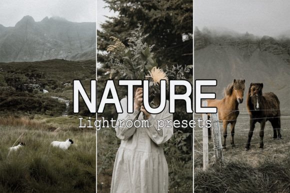 Download 9 Nature Lightroom Presets - Nature Collection