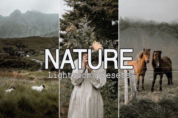 Download 9 Nature Mobile Lightroom Presets - Nature Collection