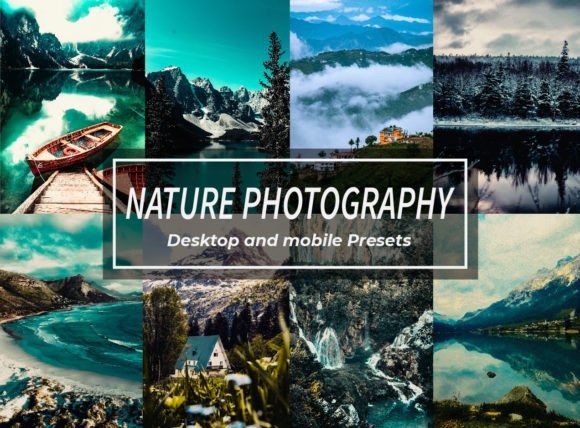 Download Nature Photography Lightroom Presets - Nature Collection